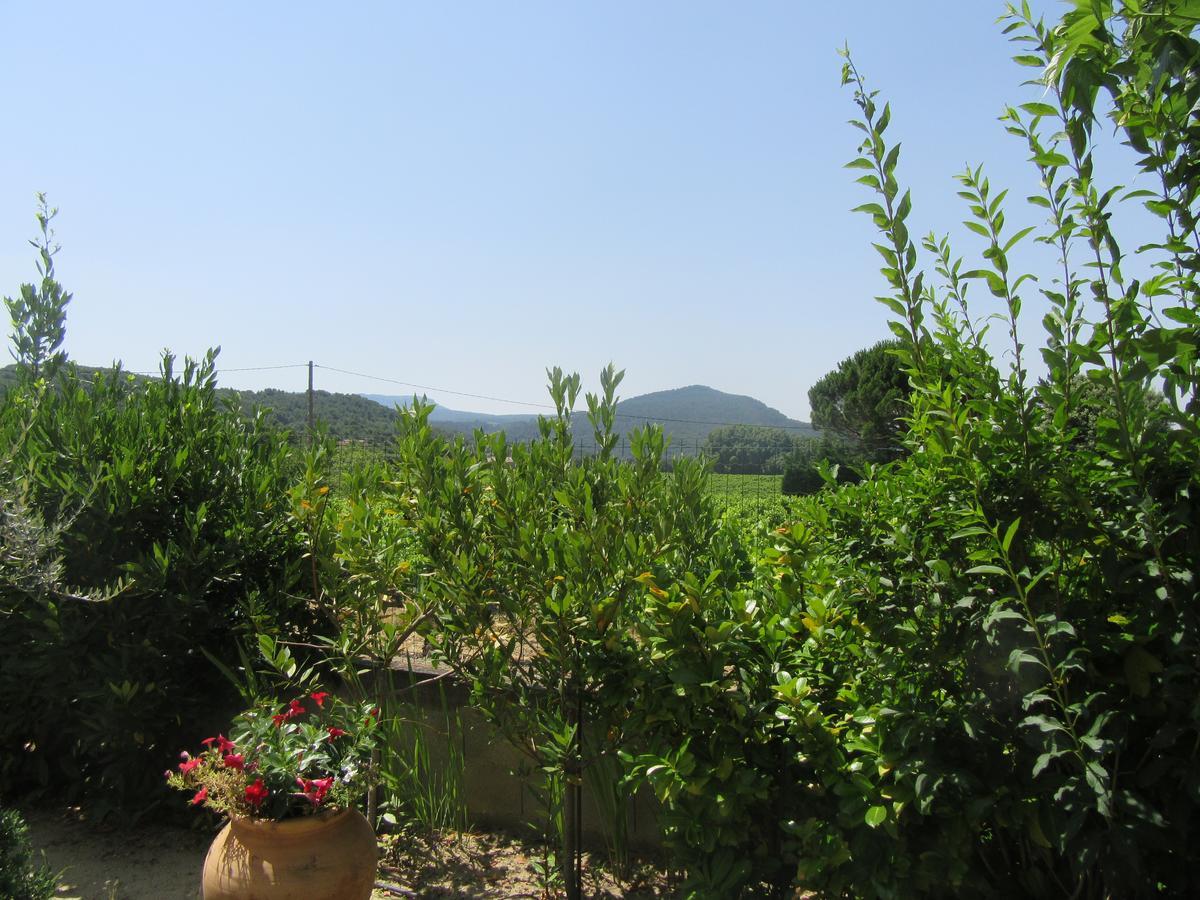Le Grand Barsan *