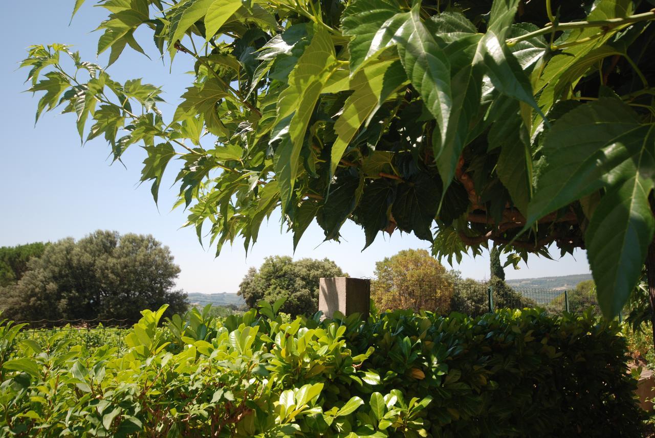 Le Grand Barsan